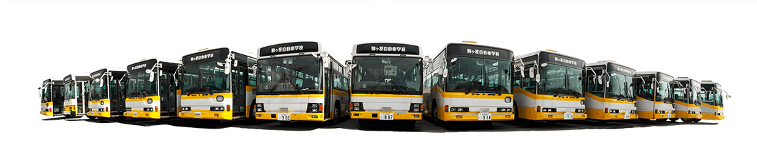 バス横並び画像