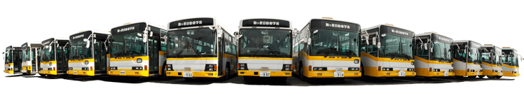 バス横並び画像